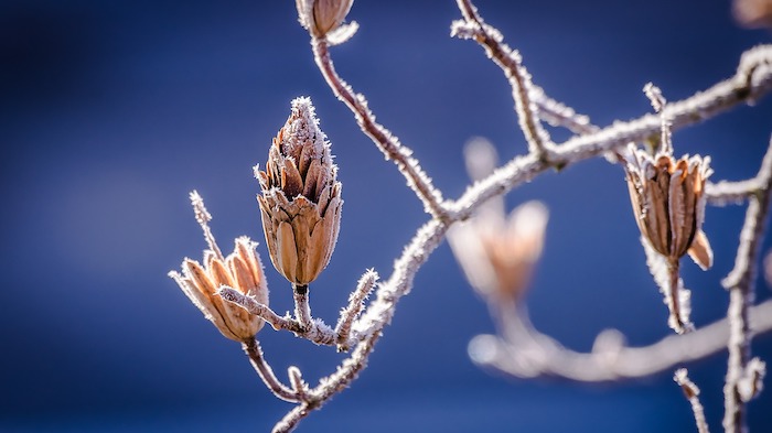 Régime universel d’indemnisation du risque climatique