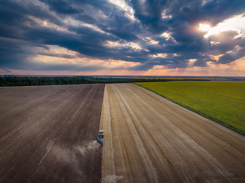 Agriculture loi foncière promulguée le 23 décembre 2021