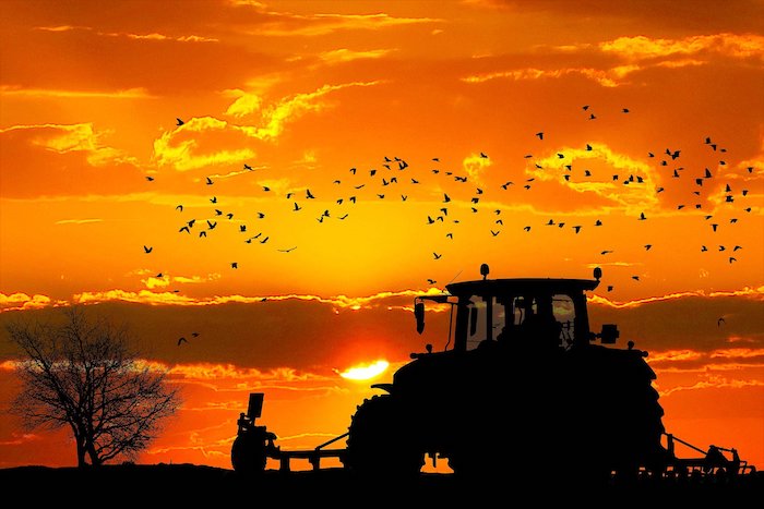Aides Pac précision sur la définition d’agriculteur actif