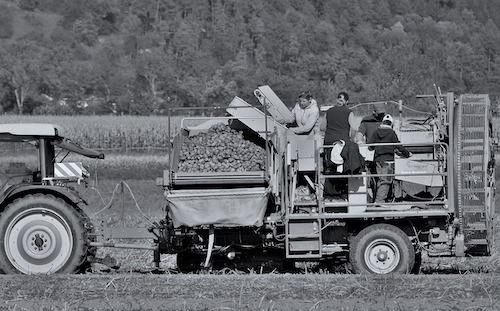 agriculture entraide familiale