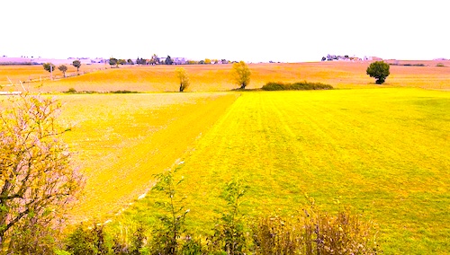L’attribution préférentielle de parcelles agricoles lors d’une succession