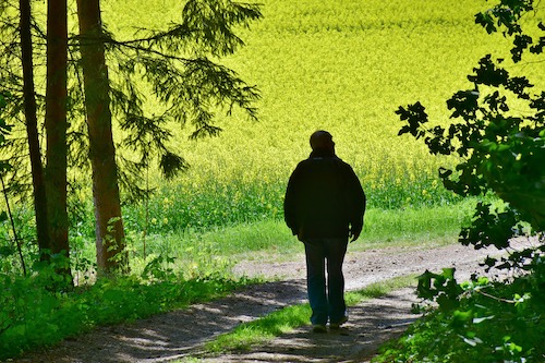 Retraite des agriculteurs : les 25 meilleures années prises en compte