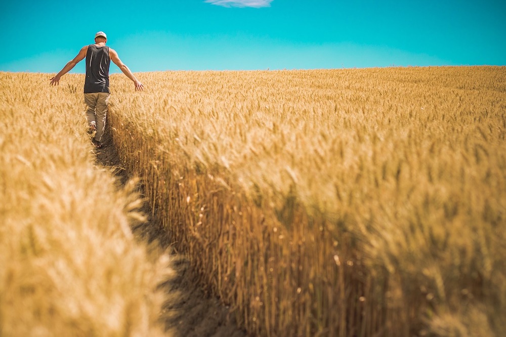 PAC 2023-2027 : Quel pourcentage du capital faut-il détenir pour être reconnu agriculteur actif ?
