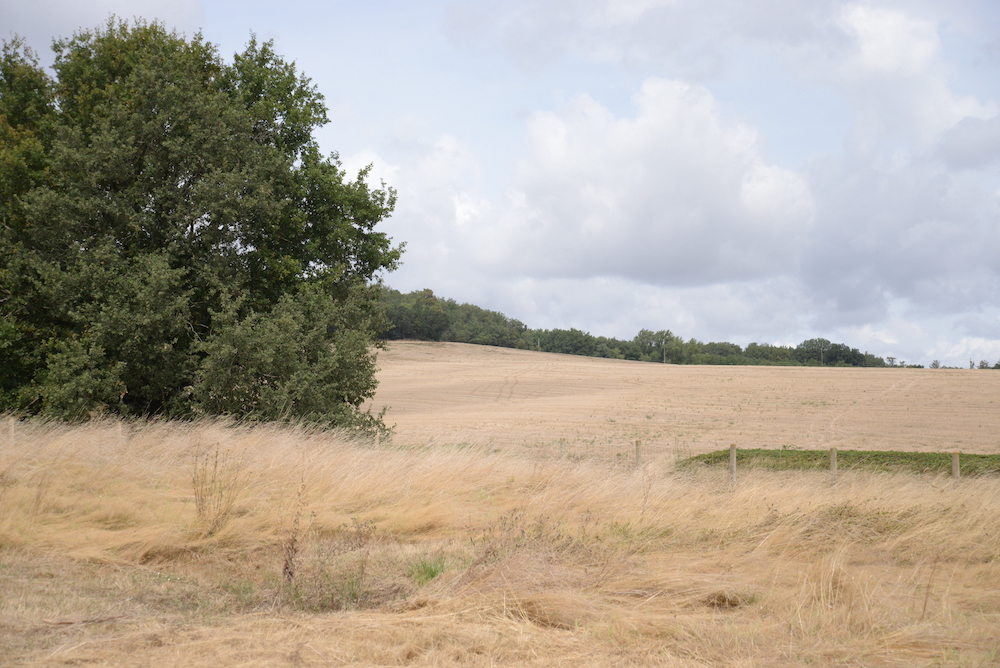 Barème indicatif de la valeur vénale moyenne des terres agricoles en 2022