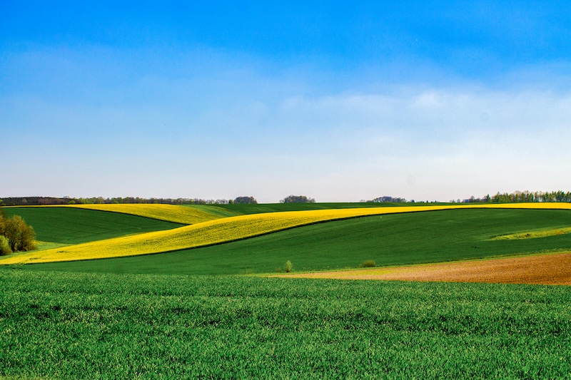 Bail rural et prestations de services : une ouverture ?